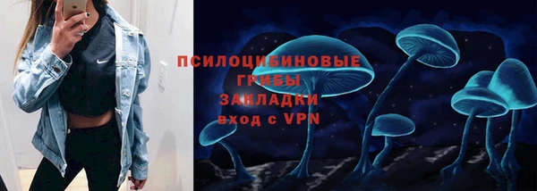ALPHA PVP Белокуриха