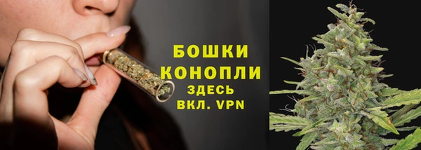 ALPHA PVP Белокуриха