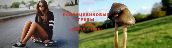 ALPHA PVP Белокуриха