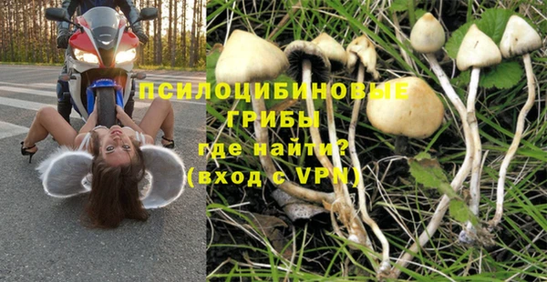 ALPHA PVP Белокуриха