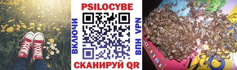 Псилоцибиновые грибы Psilocybe  Неман 