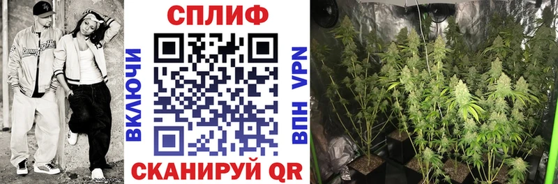 Марихуана MAZAR  Неман 
